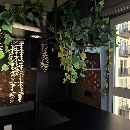 Kato Time - Debowe Tarasy- Gryfny Apartment Katowice