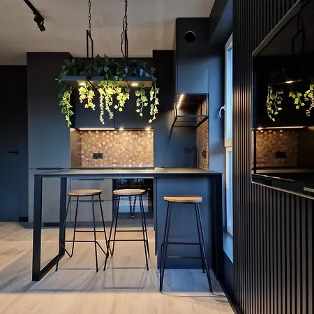 Kato Time - Debowe Tarasy- Gryfny Apartment
